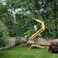 Best Tree Mulching  in Cedar Hills, UT