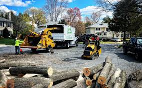 Cedar Hills, UT Tree Removal Company